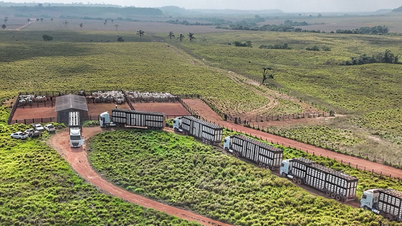 STF impede cobrança retroativa de ICMS e traz alívio ao agro