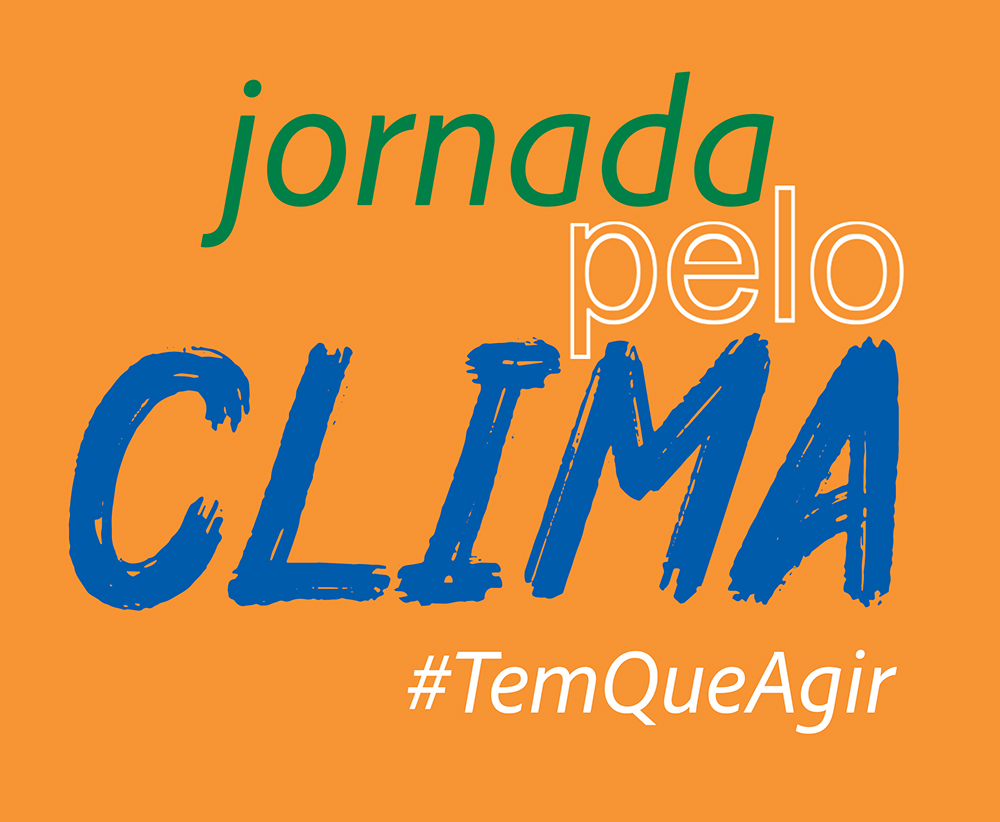 Cajueiro-anão resiste à estiagem e mantém alta produção no Semiárido nordestino