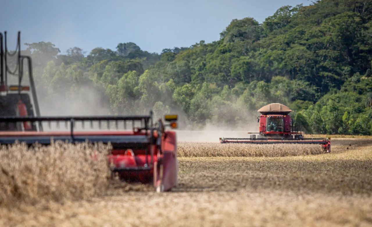 Justiça defere recuperação judicial de grupo proprietário da Agropecuária Santa Mônica