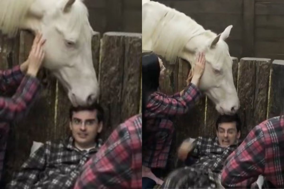 Cavalo ataca Dudu Camargo em A Fazenda: “Mordeu para arrancar pedaço”