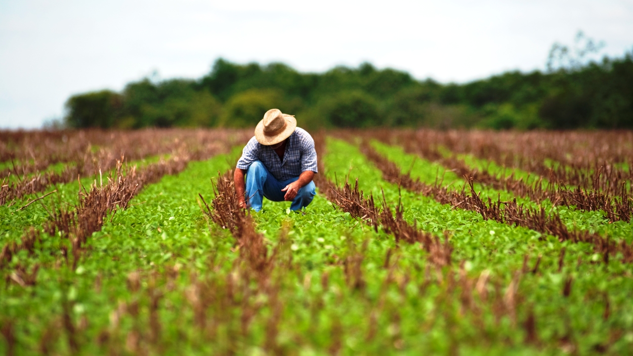 Comissão na Câmara aprova projeto que proíbe “venda casada” no crédito rural