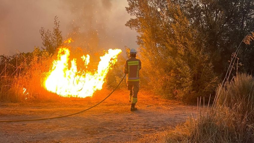 Verão europeu registra maior emissão de carbono em 25 anos