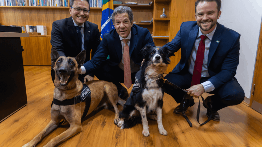 Haddad recebe visita de cães da Receita Federal; veja imagens