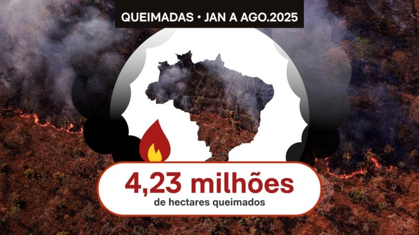 Área queimada no Brasil em 2025 chega a 4,23 mi de hectares