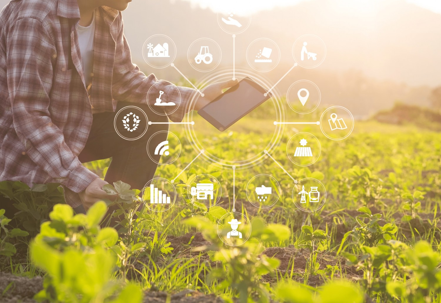 Tecnologias de agricultura digital crescem três vezes mais rápido que a média, diante do crescente desafio da segurança alimentar global