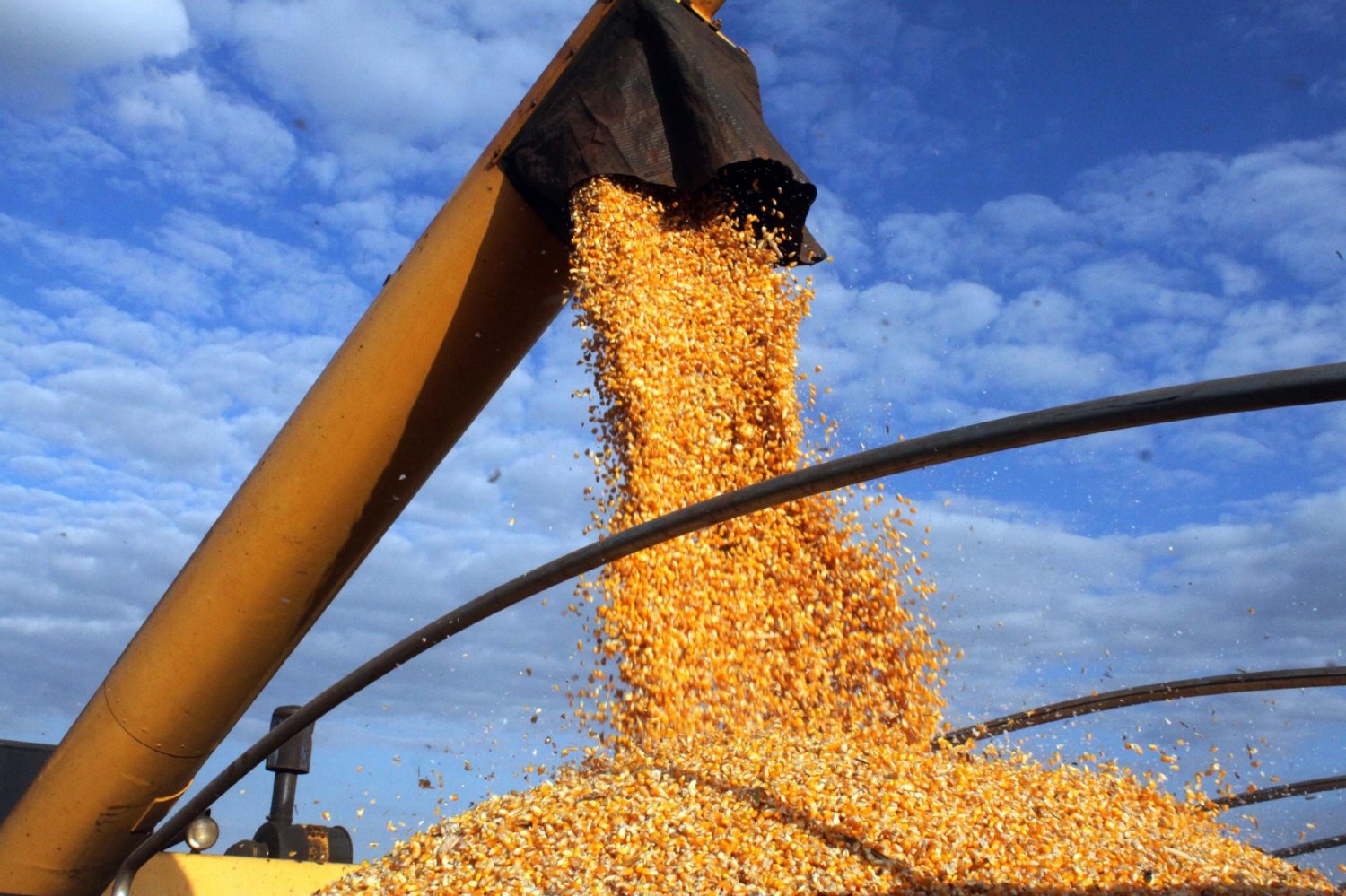Agro regional lidera setor de M&A no Brasil