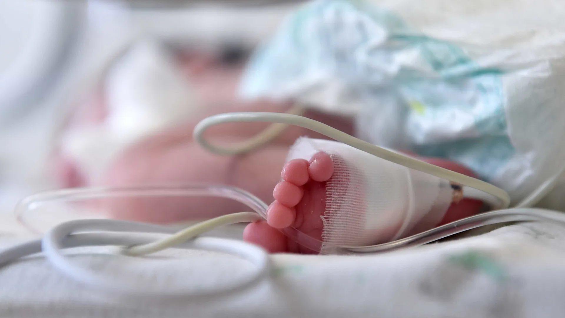 Morre bebê de 1 ano e 3 meses espancado no interior de São Paulo