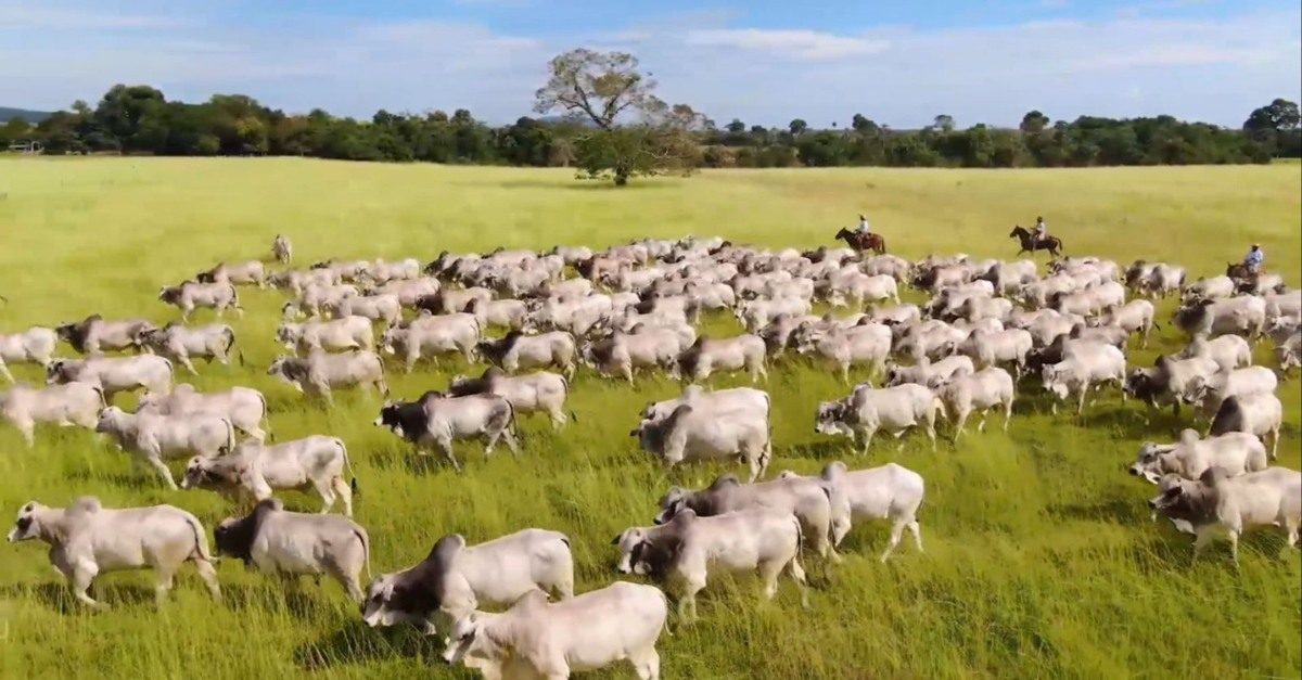 Onde é o melhor lugar do Brasil para ter uma fazenda?