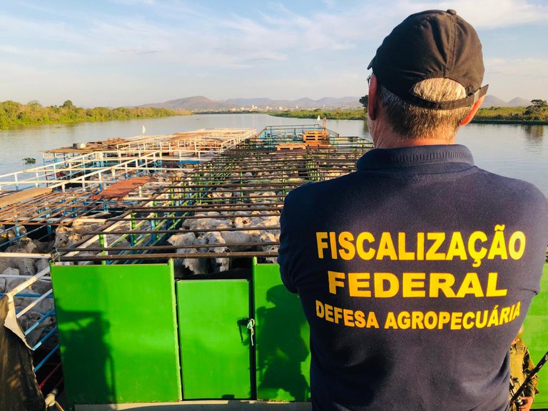 Afagro alerta para risco de precarização da Defesa Agropecuária