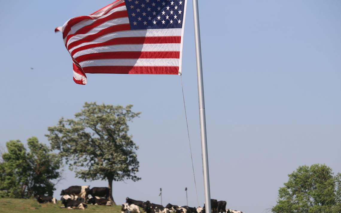 USDA libera US$ 38,3 mi em auxilio a produtores nos EUA afetados por furacão