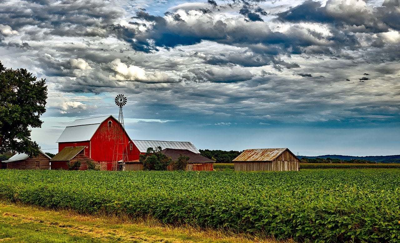 ‘Shutdown’ no governo Trump piora cenário já difícil para agricultores dos EUA; relatório do USDA não sairá hoje