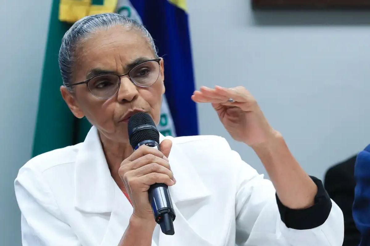 Moratória da soja: Comissão de Agricultura vai convocar ministra Marina Silva