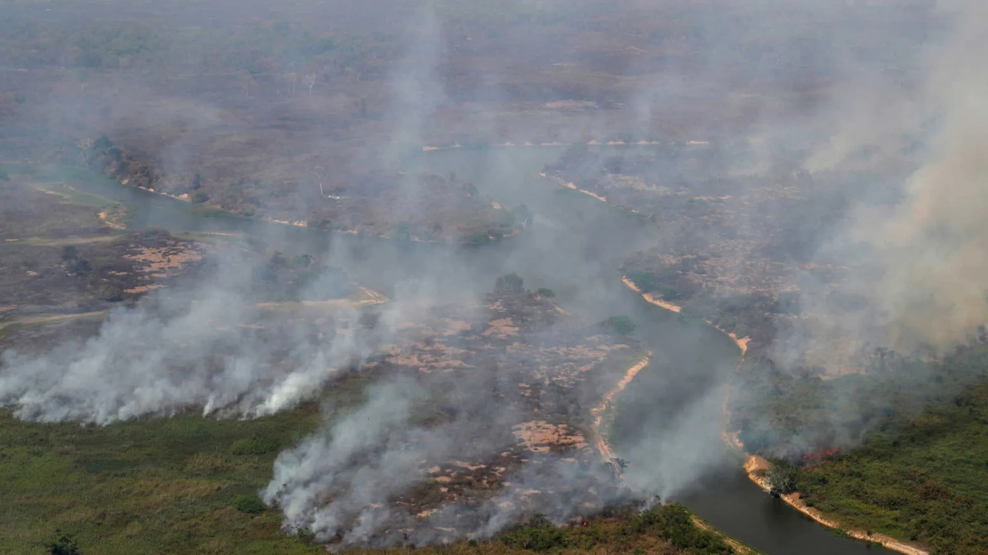 Frequência de desastres por incêndios florestais dispara no mundo, mostra estudo