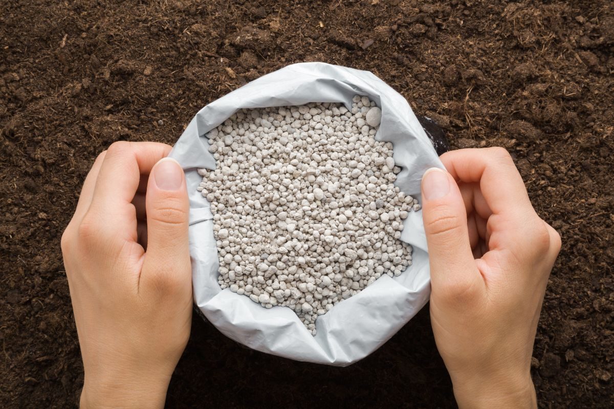 Entregas de fertilizantes têm maior volume mensal em mais de 2 anos, aponta Anda