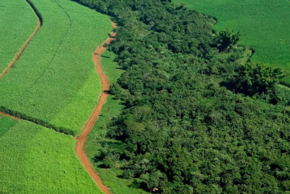 Produtor rural ganha sistema Siflor, que ajuda na regularização de áreas desmatadas