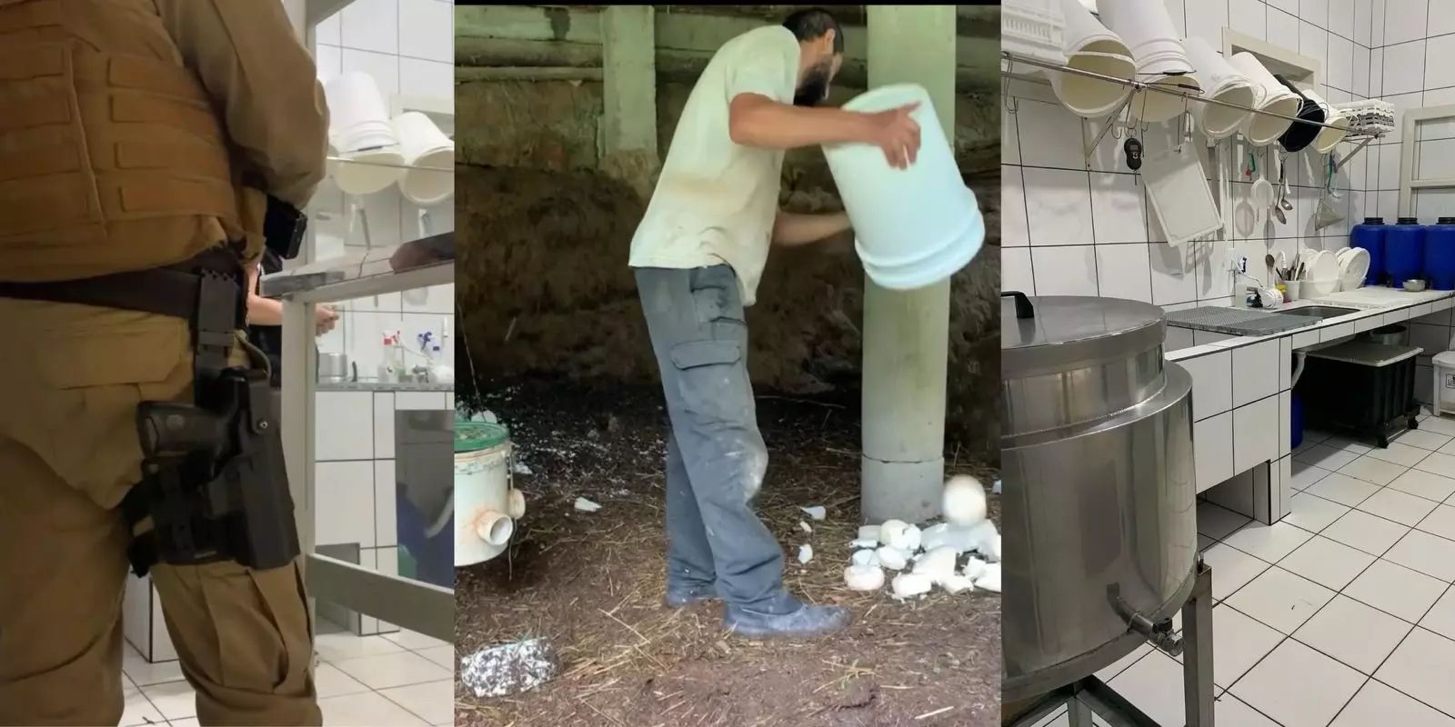 Família tem produção destruída – mais de 100 kg de queijos – após denúncia; imagens fortes