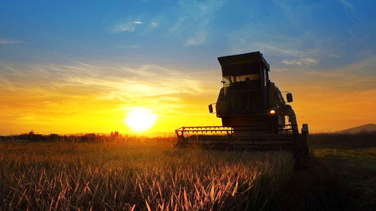 Abimaq: maior área de plantio em safra pode impulsionar venda de máquina agrícola