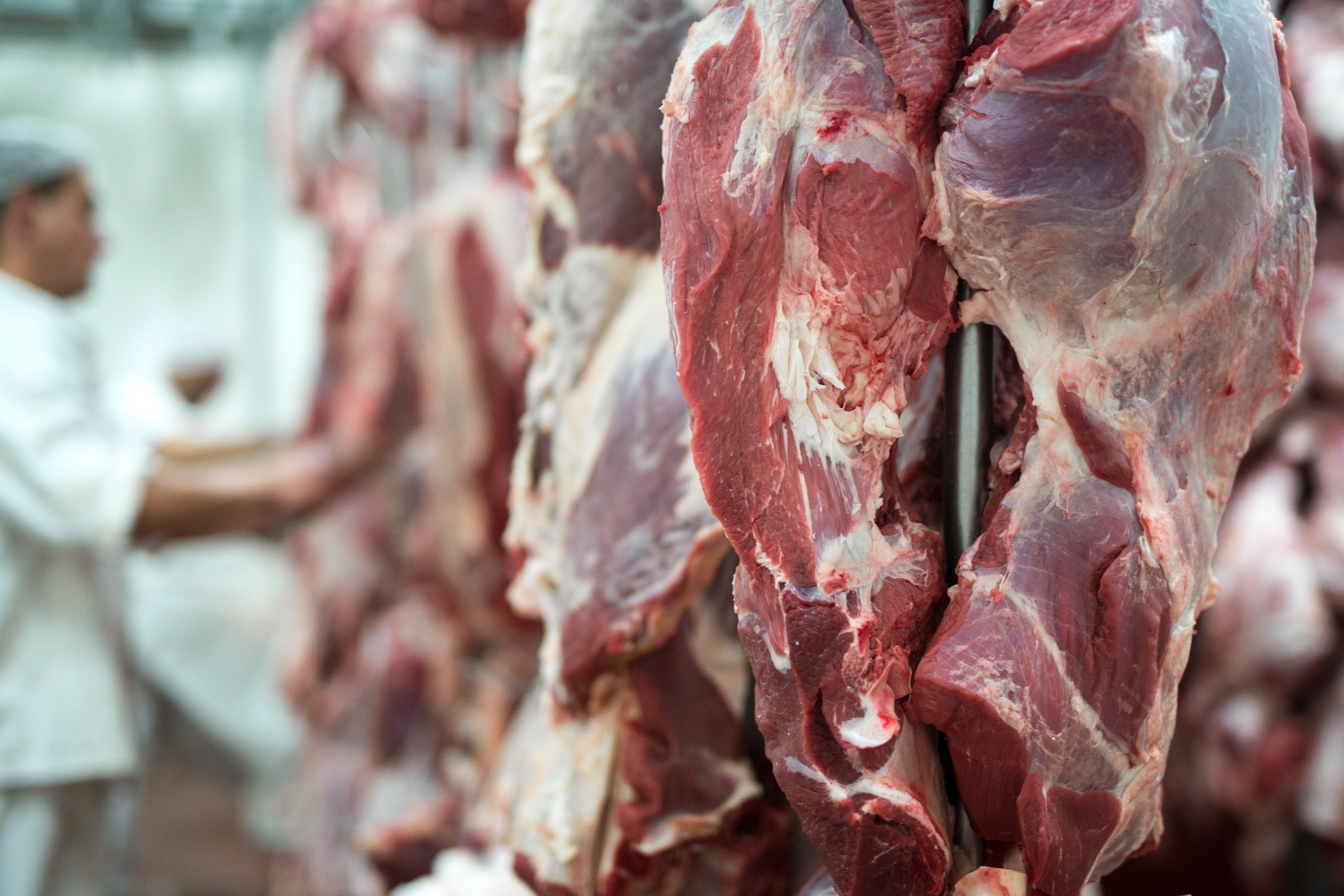 Brasil e Cingapura fecham acordo para ampliar comércio de proteína animal