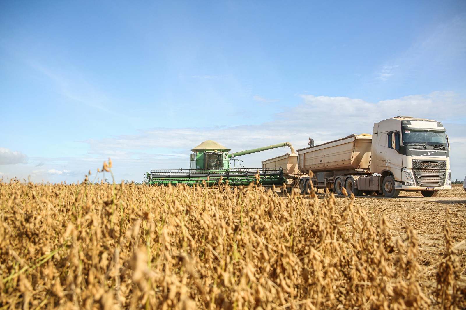 Impacto à Agricultura: La Niña pode levar estiagem ao Centro-Sul do Brasil em outubro