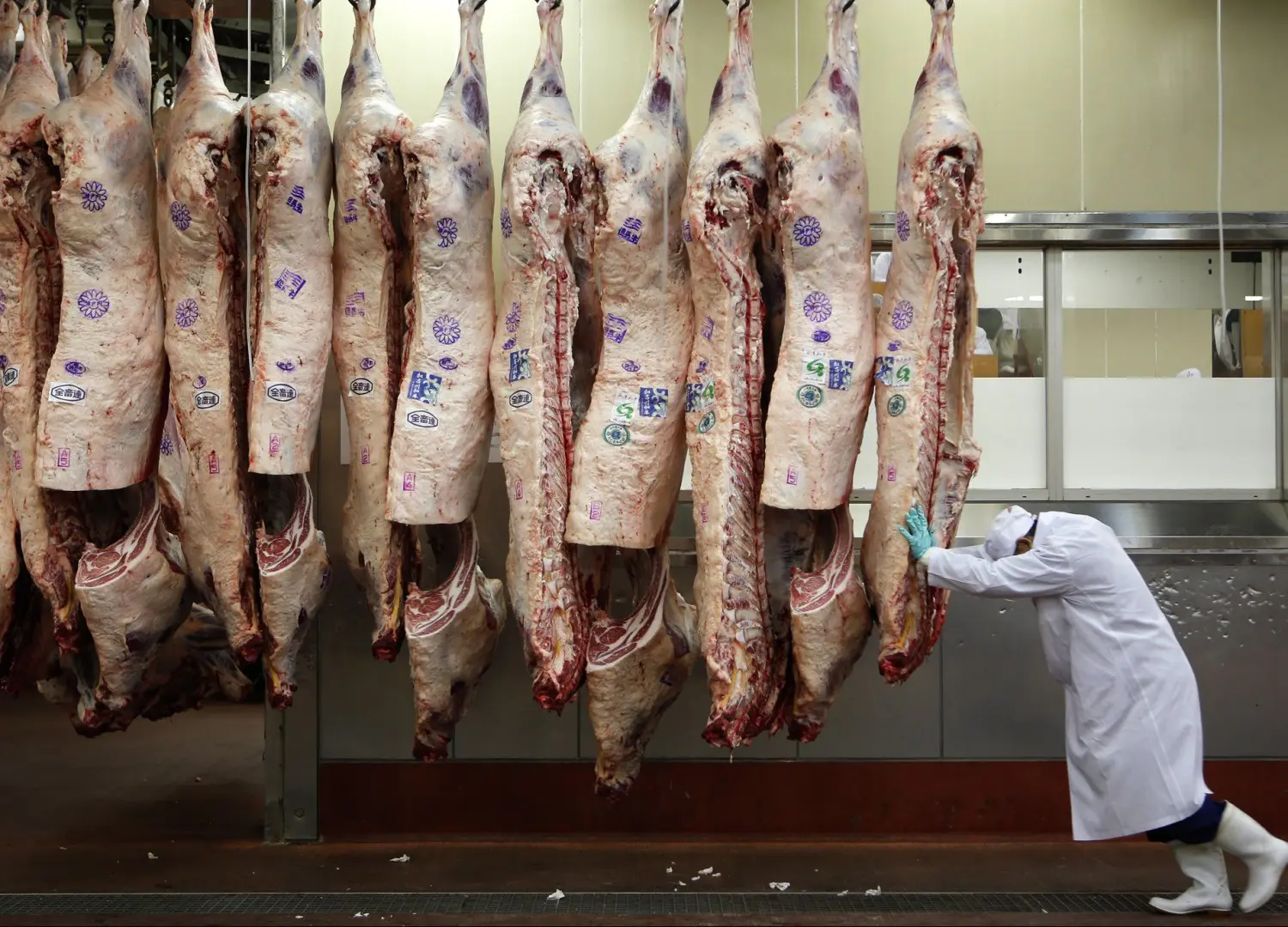 Exportações de carne bovina batem novo recorde – 314,6 mil toneladas – em setembro