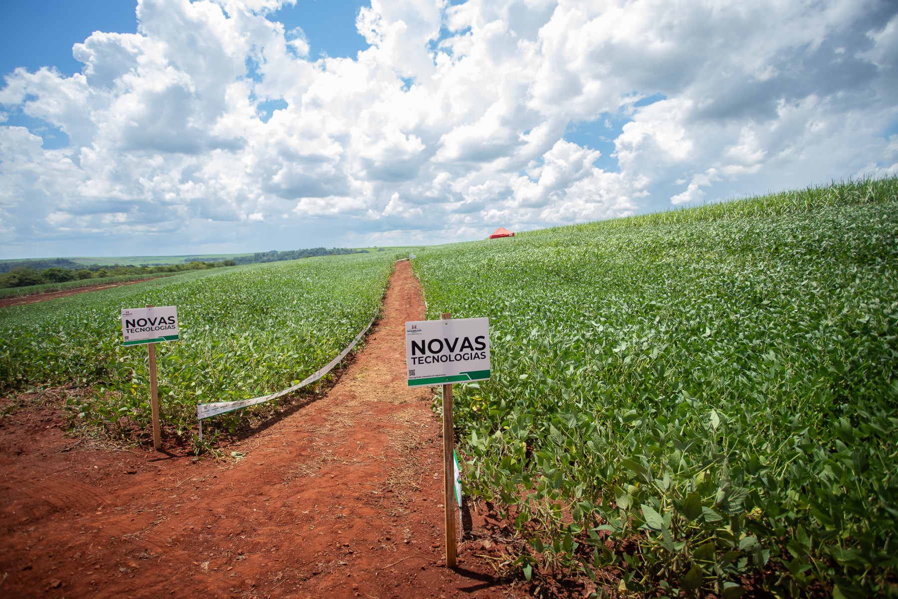 Empresa brasileira cria fertilizante nacional inovador para ajudar a diminuir a dependência por produtos importados