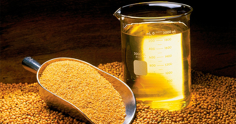 Demanda por biodiesel deve aumentar alta de 6,3% em 2026, considerando a vigência do B15