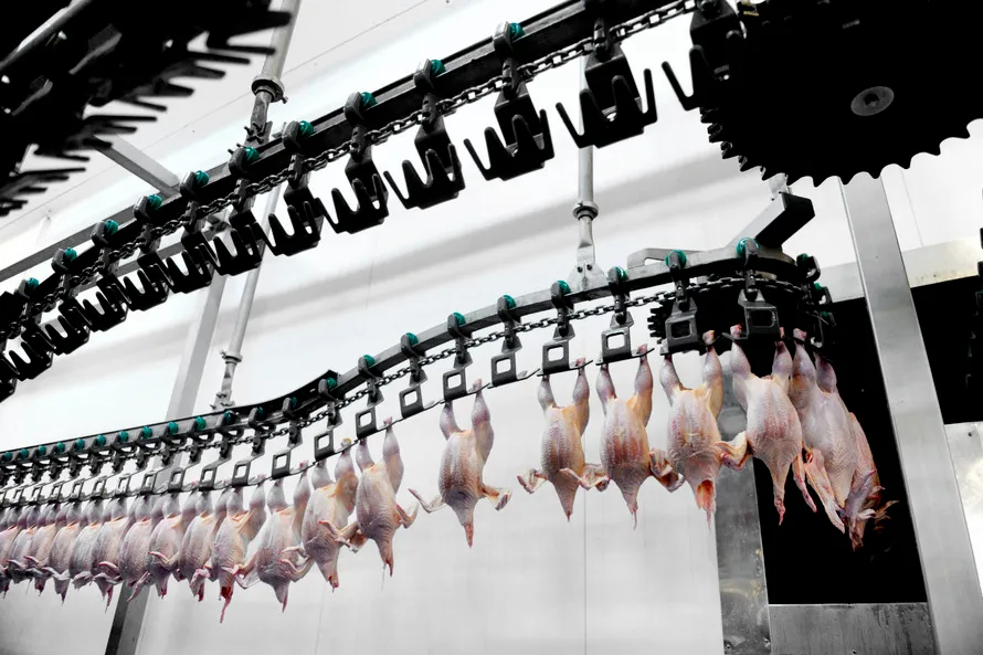 Maior demanda de frango sustenta alta de preços