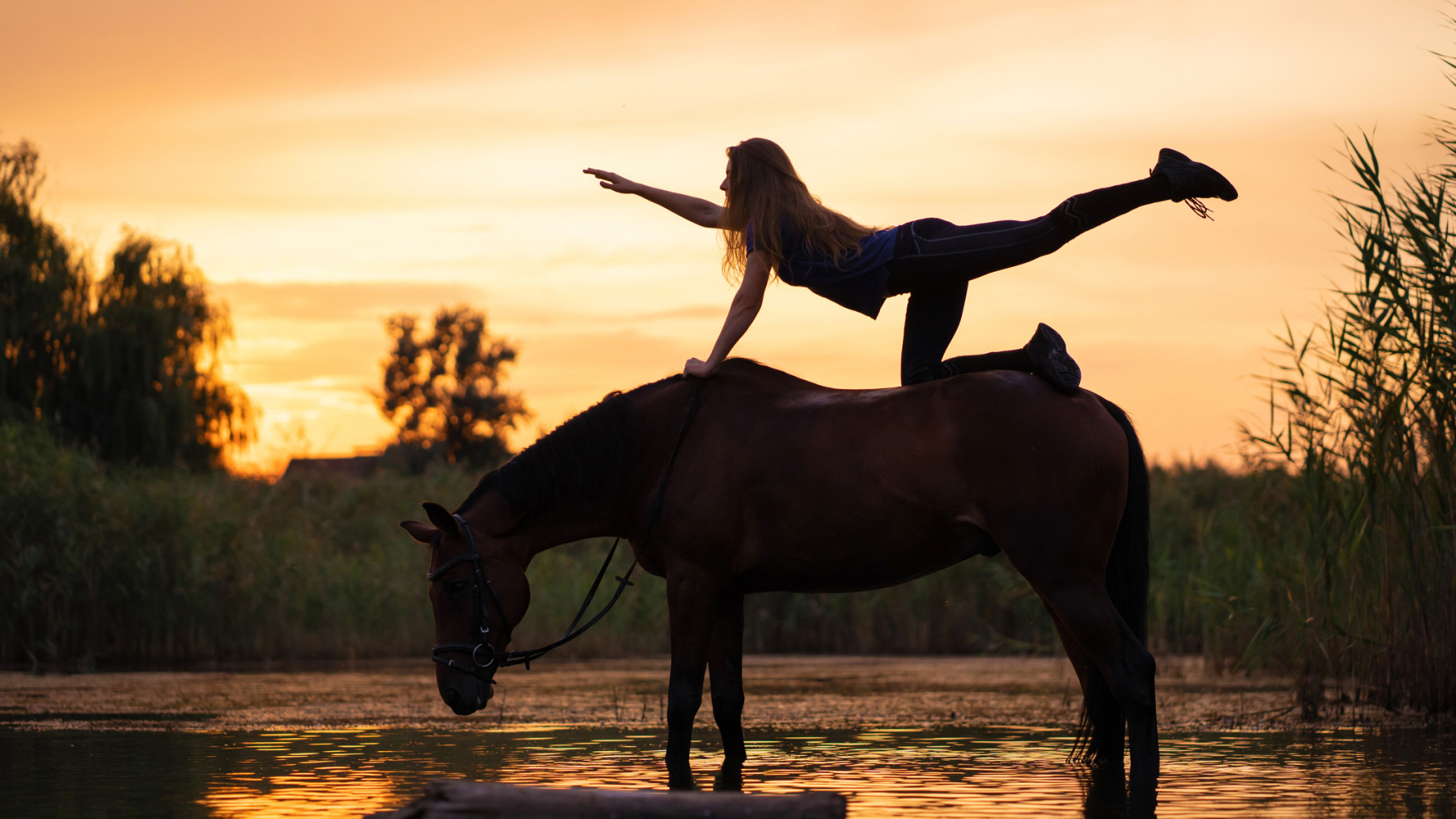 A magia do Yoga Equestre: equilíbrio, harmonia e autoconhecimento na sela