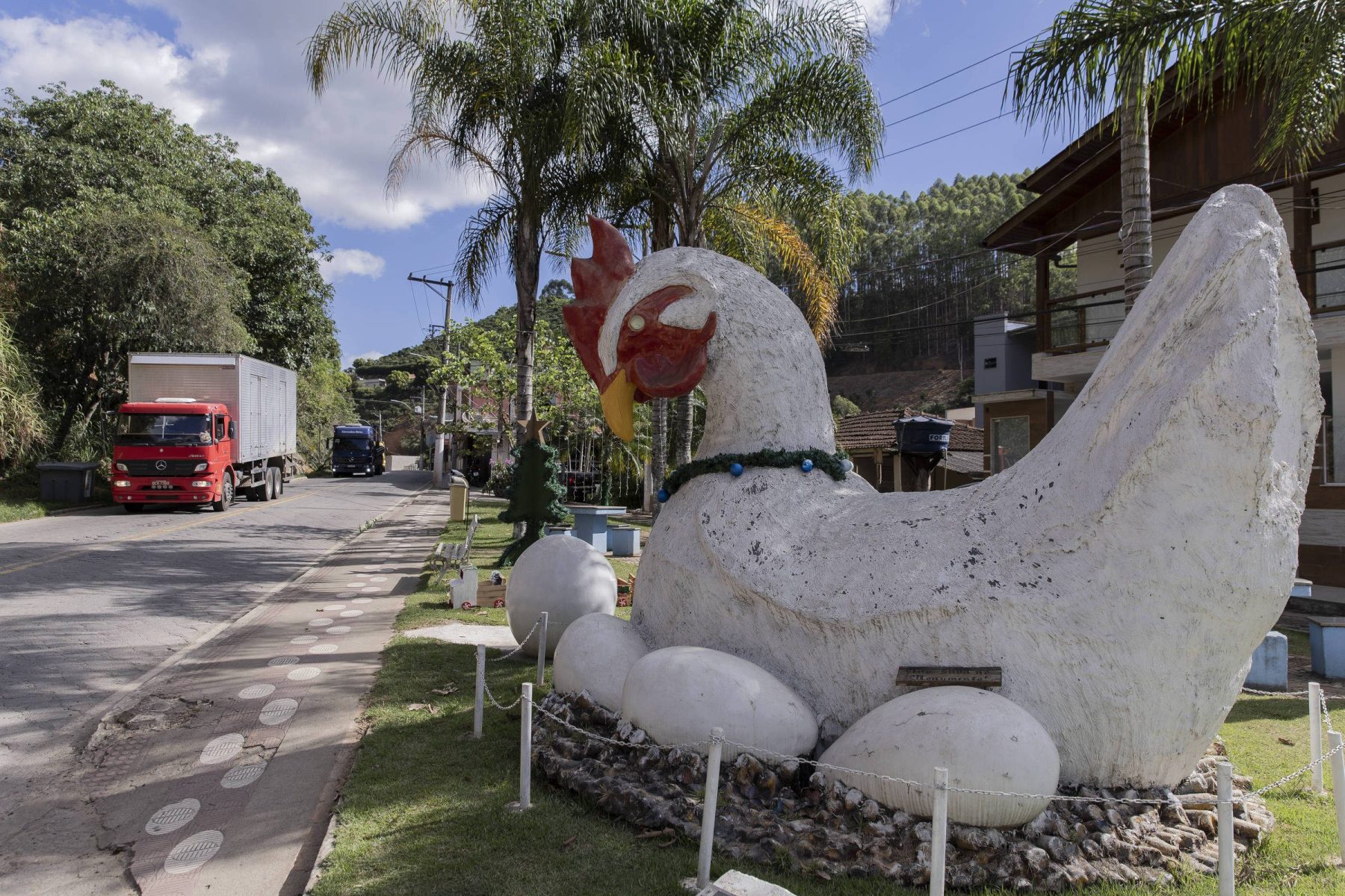 132 ovos por segundo: como Santa Maria de Jetibá se tornou a Capital Nacional do Ovo