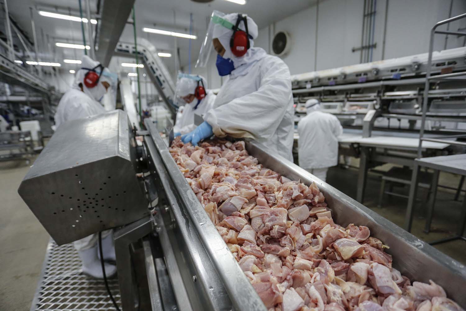Cepea: carne de frango ganha competitividade ante suína no atacado da Grande SP