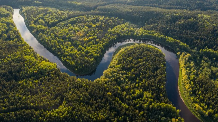 Altas temperaturas e secas impactam centro-norte da Amazônia
