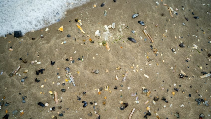 Maioria das praias do Brasil está poluída por microplásticos