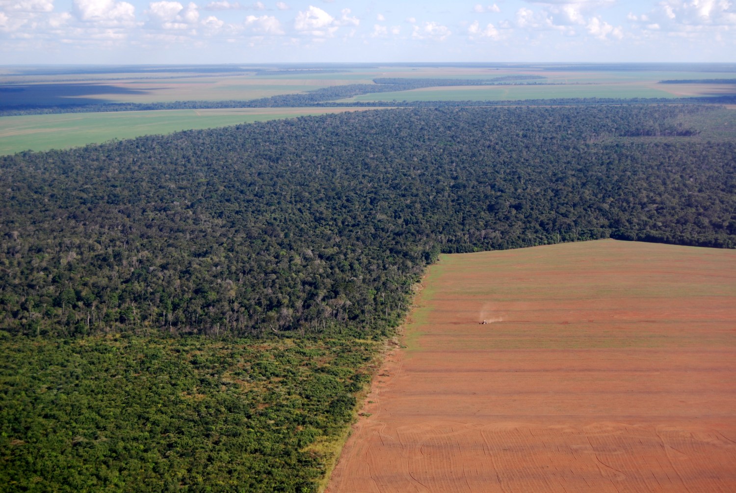 Aprosoja Brasil apoia derrubada de vetos ao Licenciamento Ambiental