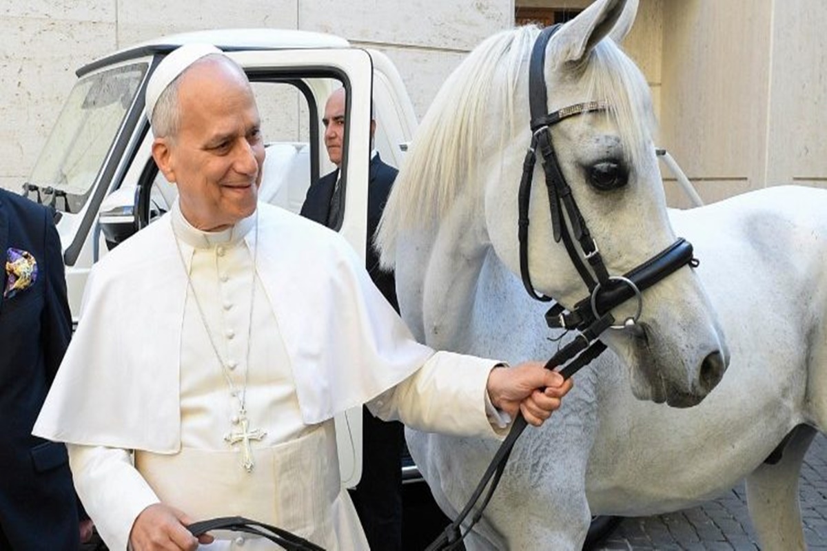 Papa Leão XIV ganha cavalo de raça árabe. Vídeo
