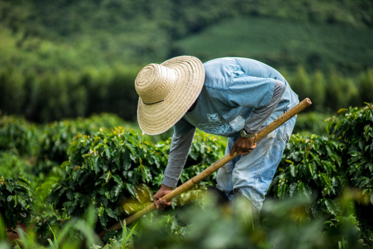 Projeto que moderniza contratos de trabalho no campo é aprovado na Comissão de Agricultura