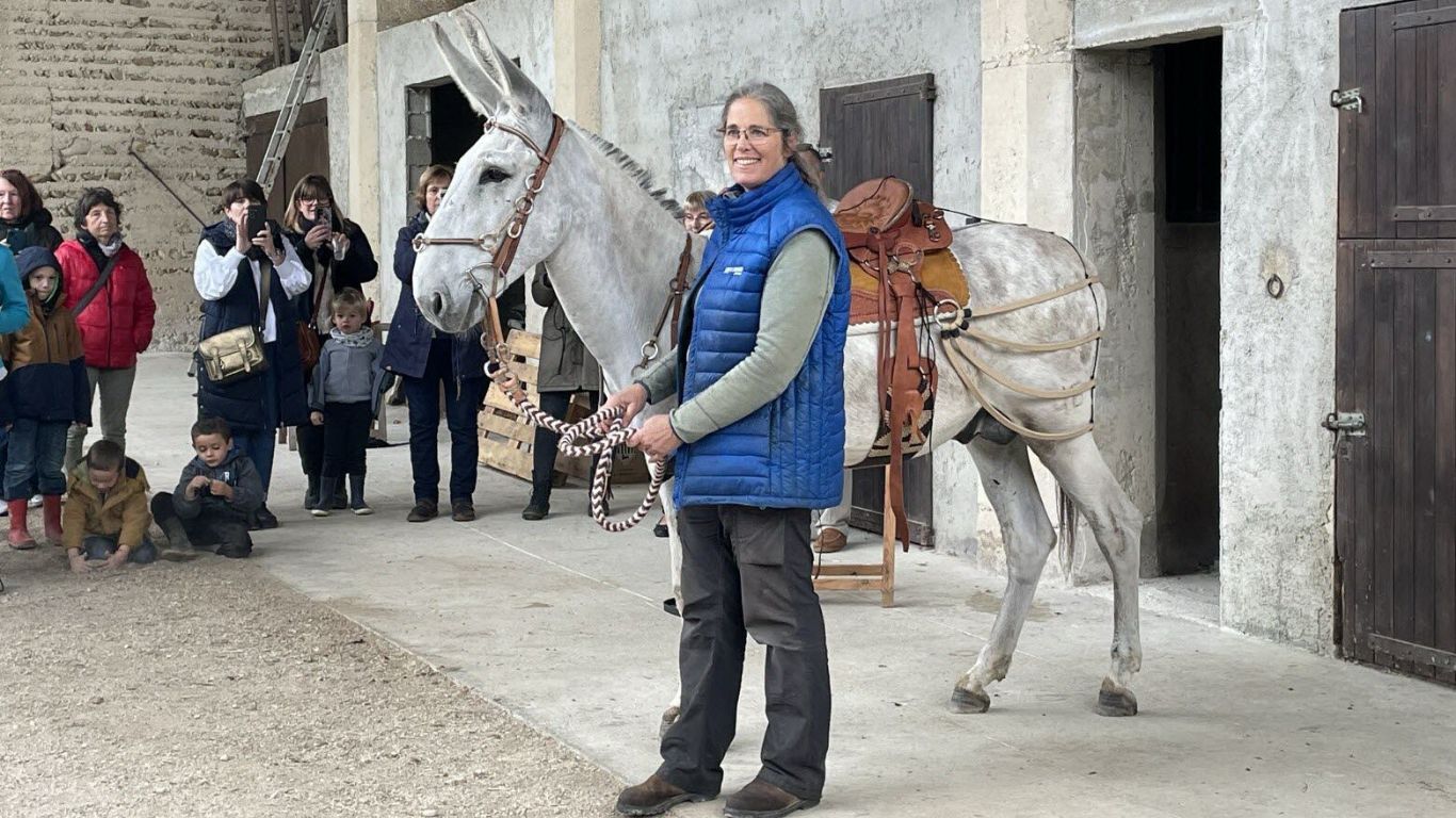 Genética brasileira faz história na França com primeiro criatório de jumentos Pêga da Europa