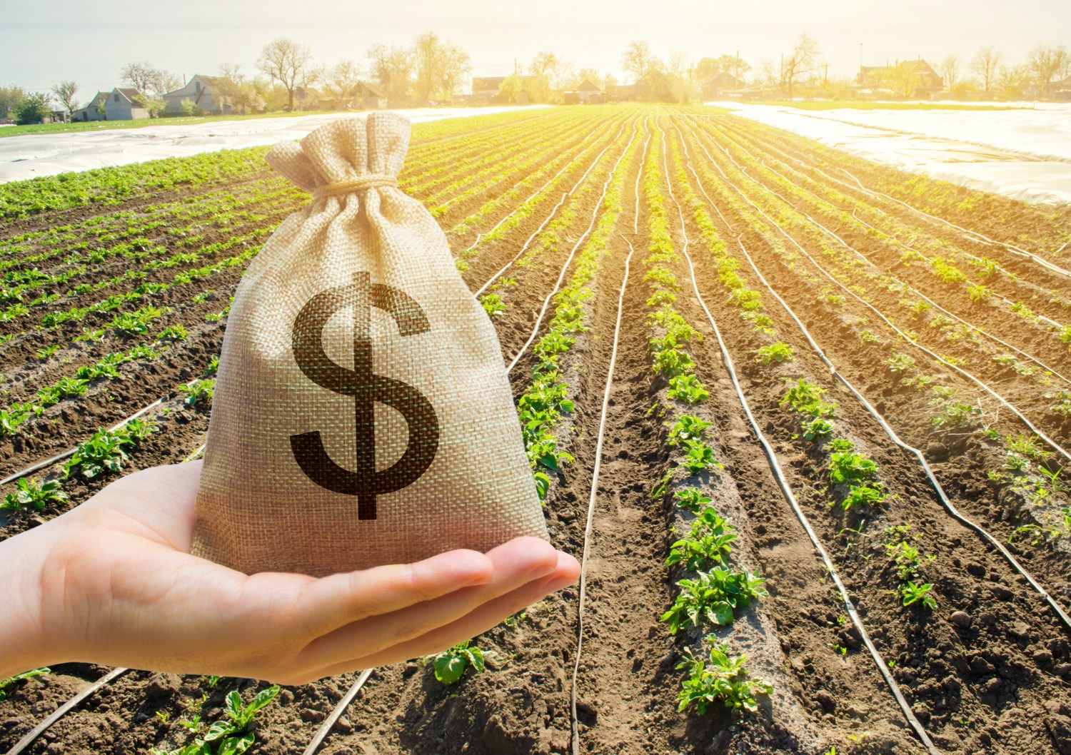 Comissão da Câmara debate práticas abusivas no crédito rural e defende transparência para produtores