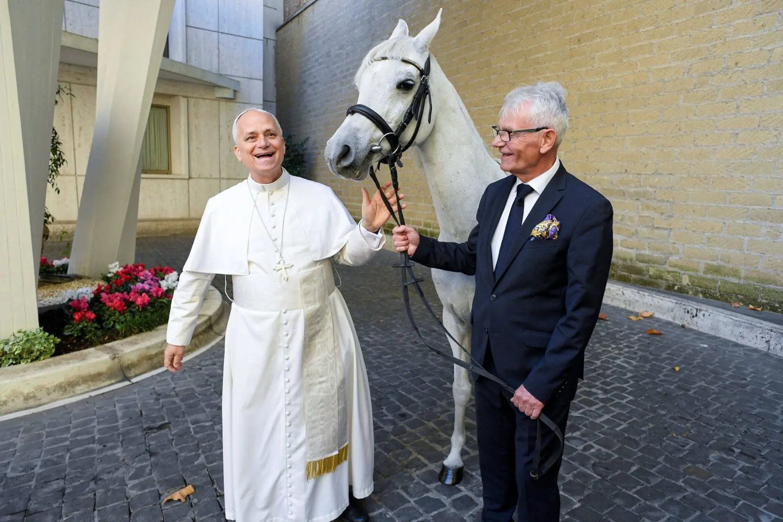 Papa ganha cavalo Árabe Proton, símbolo de nobreza, fé e contribuição histórica; vídeo
