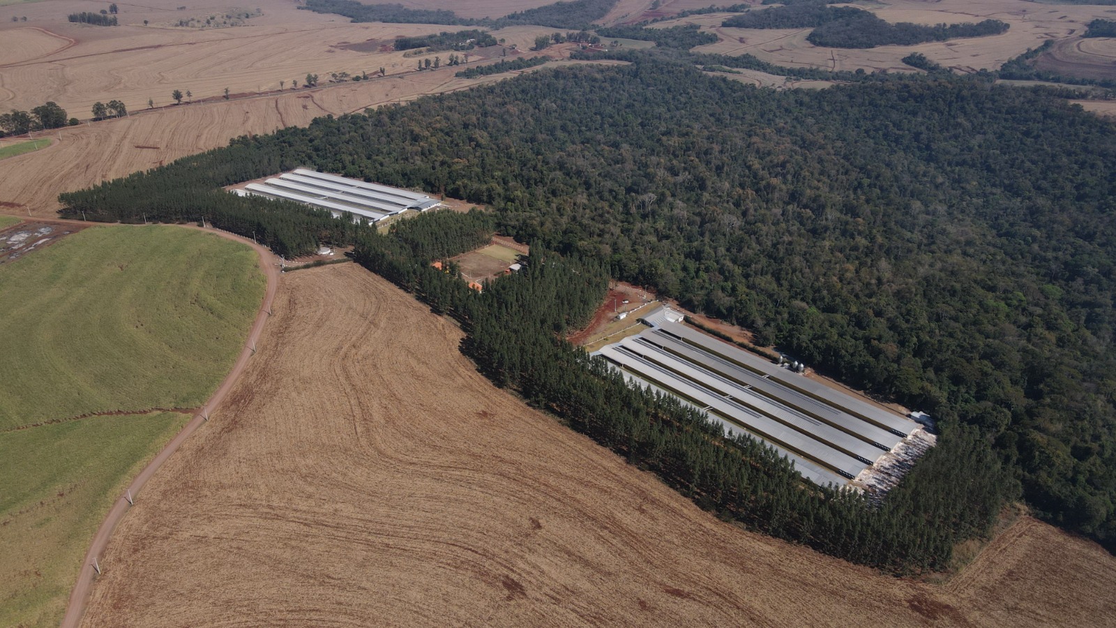 GTF inaugura unidade de produção de ovos no Paraná com capacidade para 110 mil aves