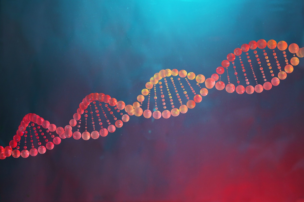 Gene causador da obesidade pode proteger o coração, aponta estudo