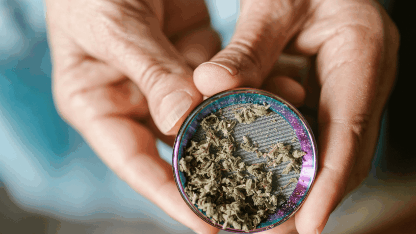 Anvisa proíbe venda de 8 produtos de cannabis no Brasil