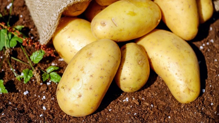 Como o modo de preparo da batata influencia nos benefícios à saúde