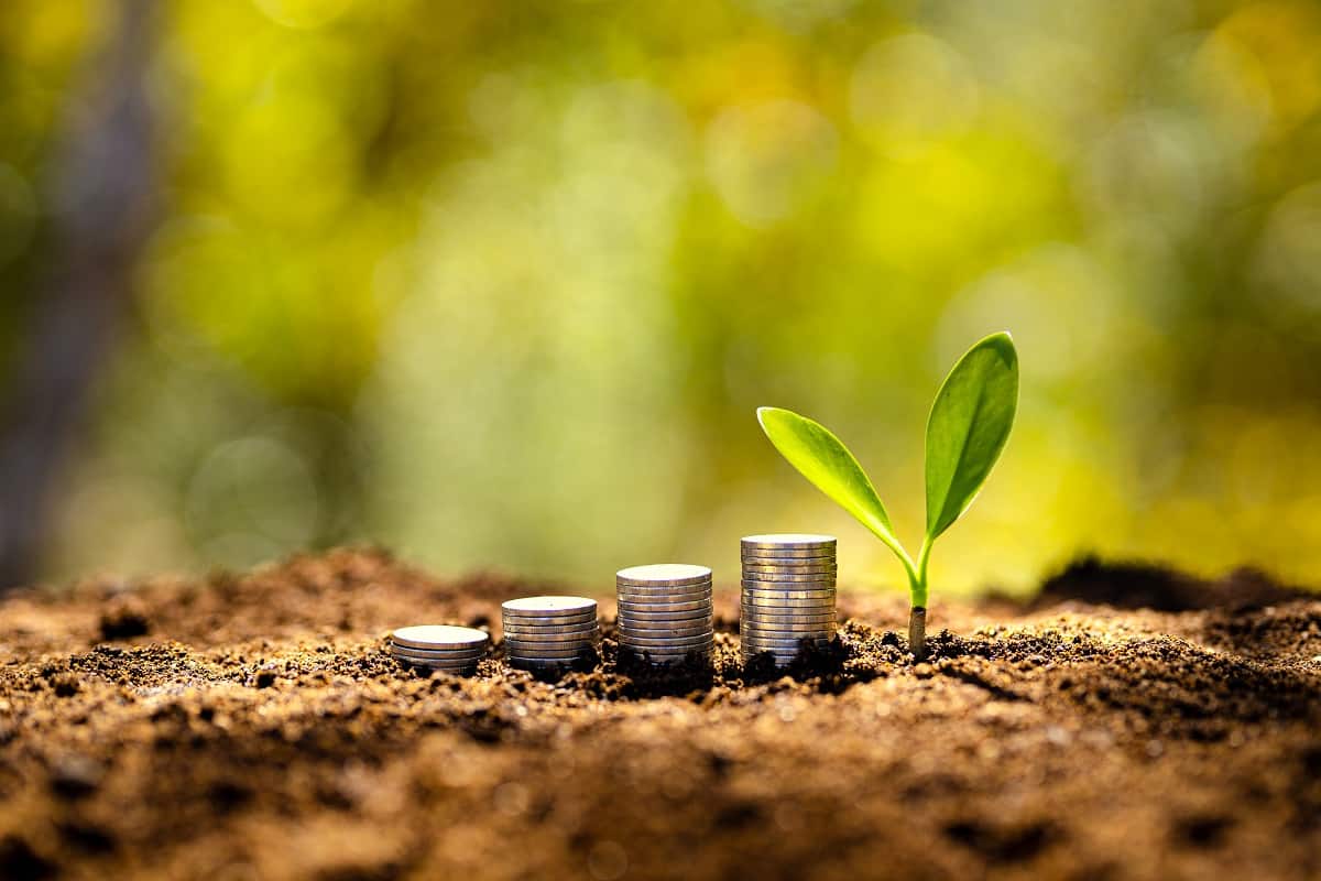 Crédito rural: desembolso no plano safra 2025/26 recua 18,5% até setembro