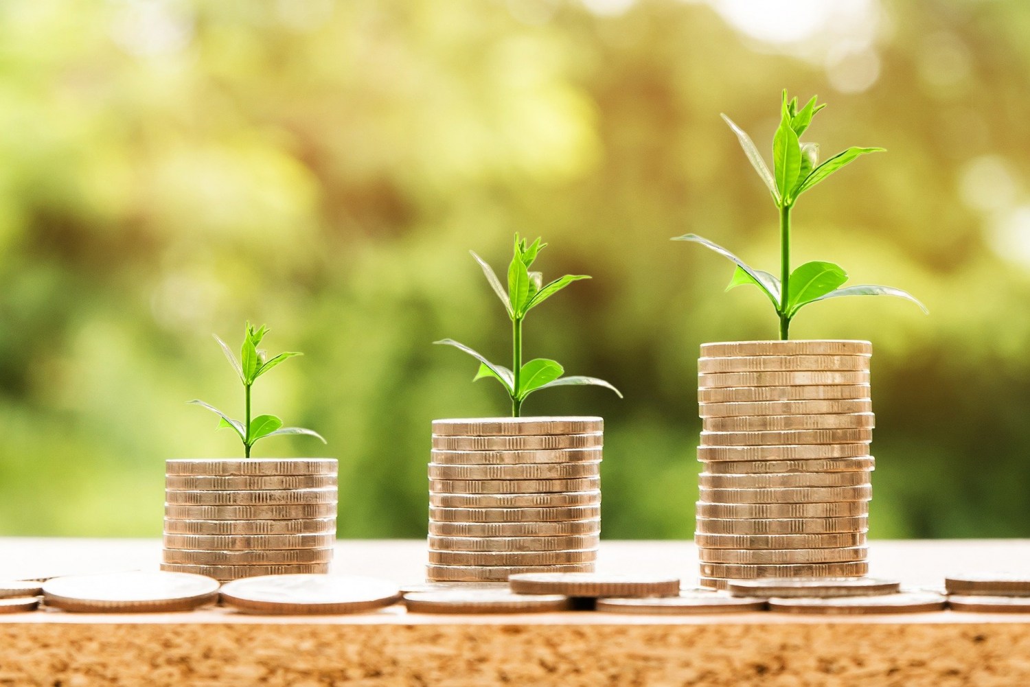 Crédito: títulos do agronegócio crescem 22,5% em 12M até setembro, a R$ 1,38 tri