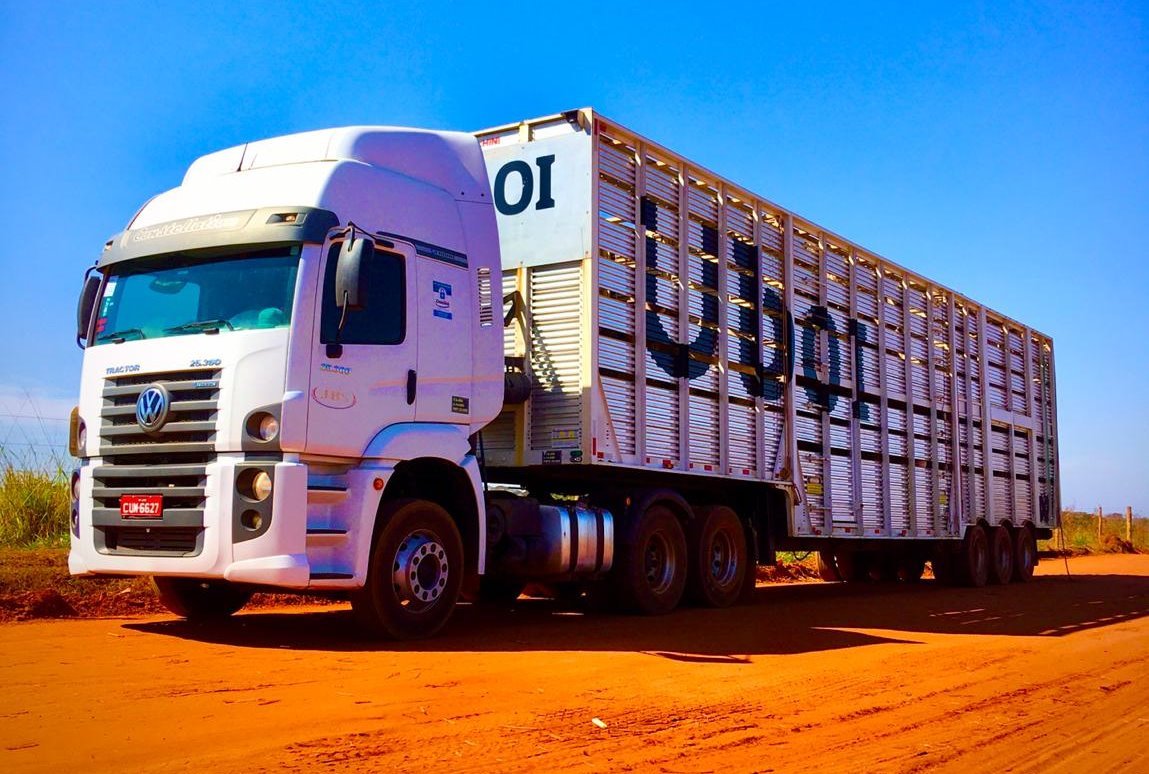 Como a JBS usou R$ 1 milhão para revolucionar o transporte de bovinos com o ‘Uber do Boi’ – UBOI