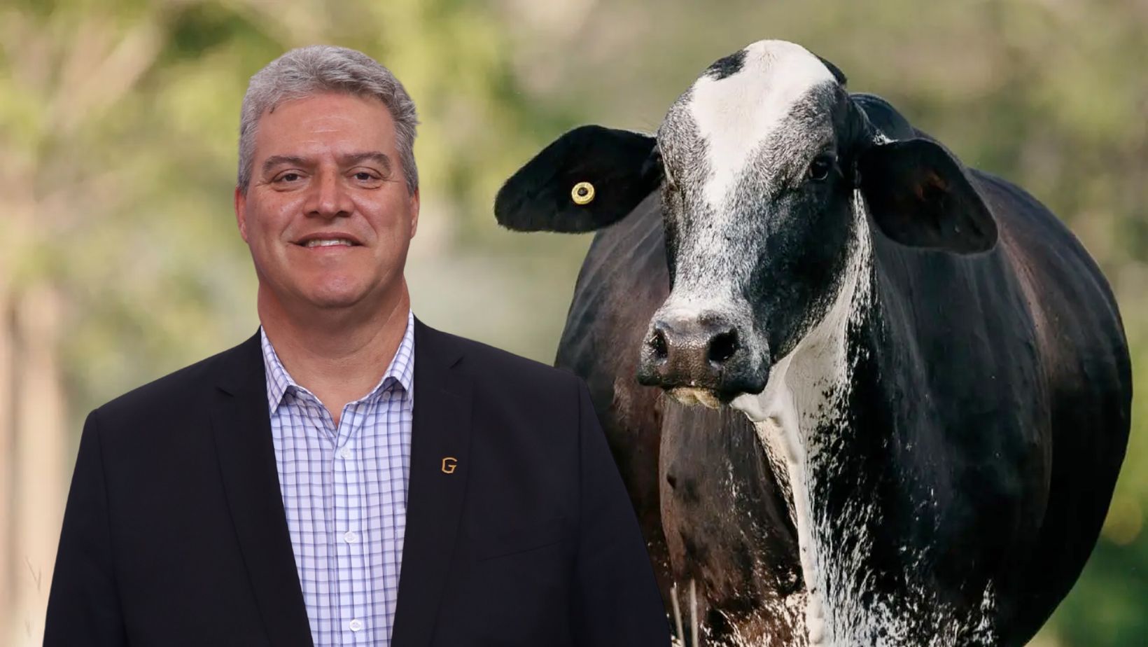 Associação de criadores de Girolando tem novo presidente