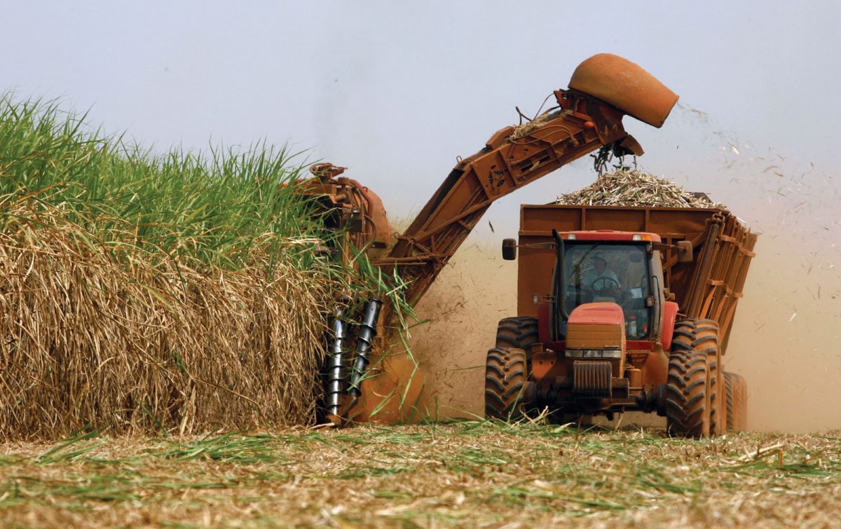 BP Bioenergy: metas do RenovaBio podem ser mais agressivas