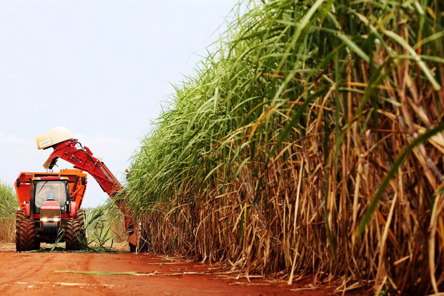 Produção de açúcar do centro-sul do Brasil pode crescer para 43,2 mi t em 2026/27, diz Datagro