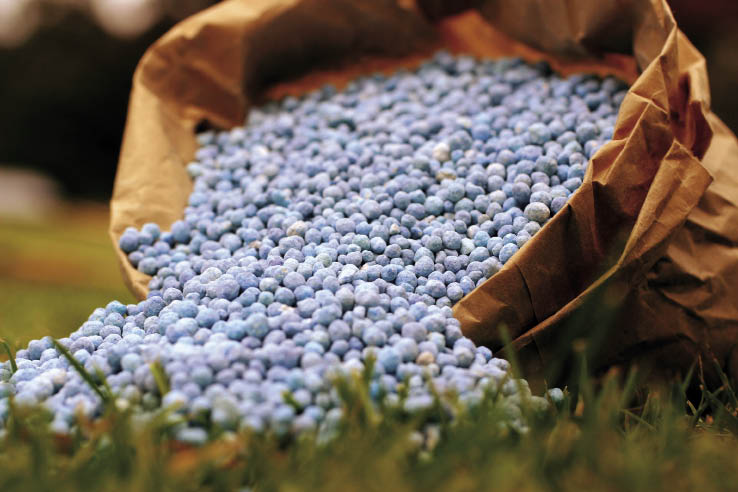 A China tem restringido a exportação de fertilizantes?