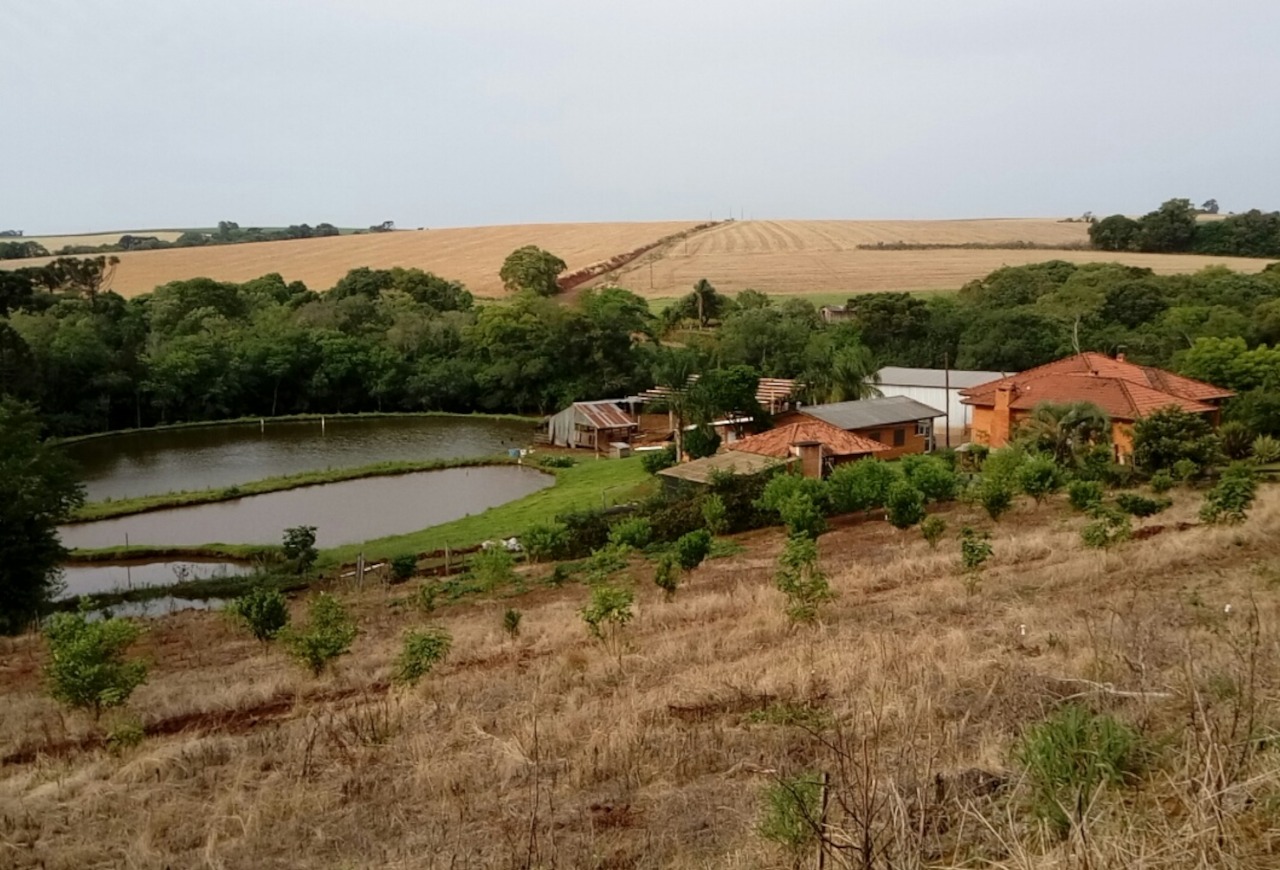 Prorrogado o prazo para ratificação de imóveis rurais em faixa de fronteira